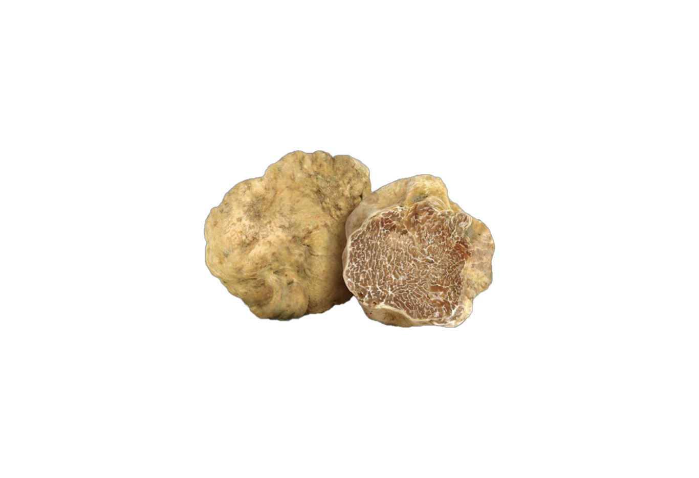 truffe blanche d'alba / magnatum pico