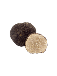 Truffe d’été — Tuber aestivum