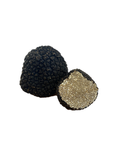 Truffe de Bourgogne — Tuber uncinatum