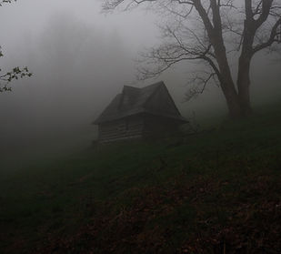 Abandoned cabin in foggy, dark woods