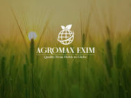 Agromax Exim Logo designing from Patna, Bihar by fusing image of leaf with an icon of globe to create theme of agricultural export business.