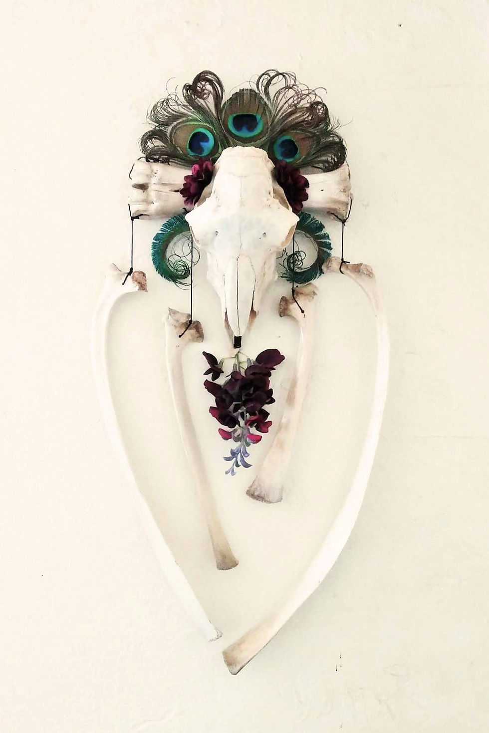 Peacocks and rams