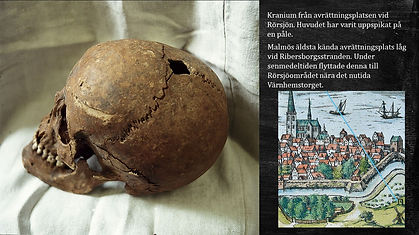 Bild15.JPG