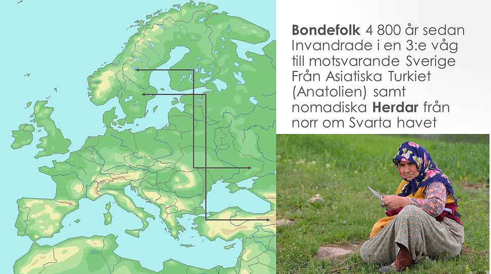 Bild11.JPG