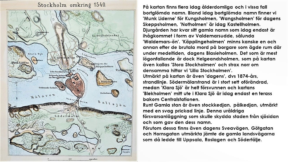 Bild20.jpg