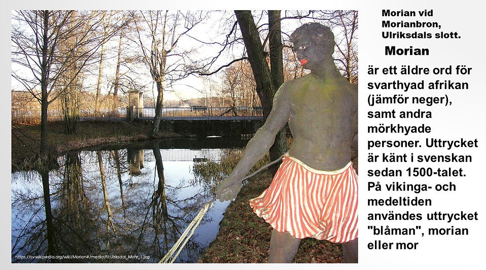 Bild21.JPG
