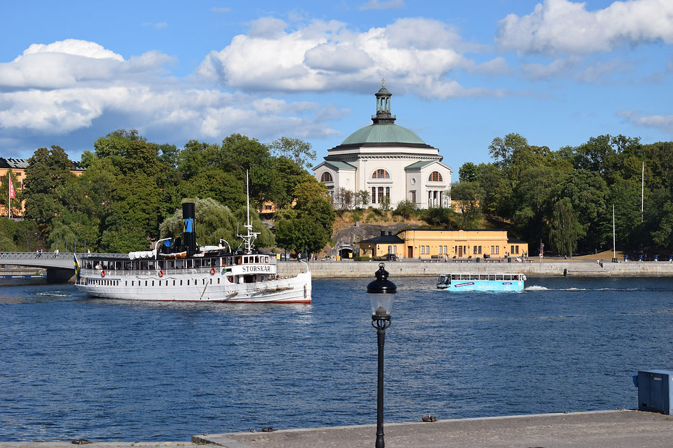 DSC_0149.JPG.jpg