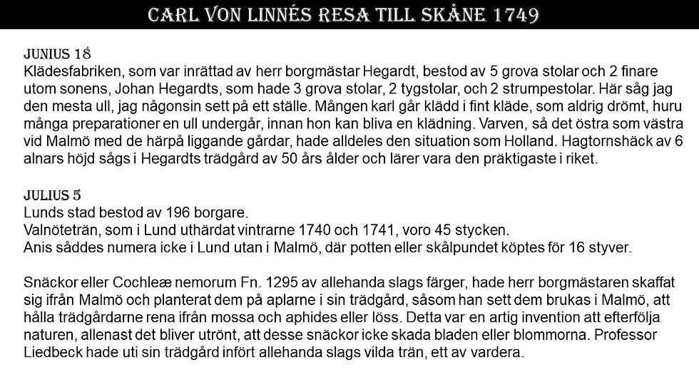 Bild5.JPG