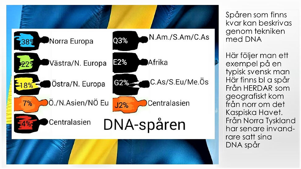 Bild4 (2).JPG
