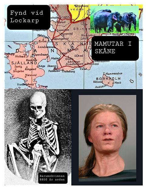 Bild7.JPG