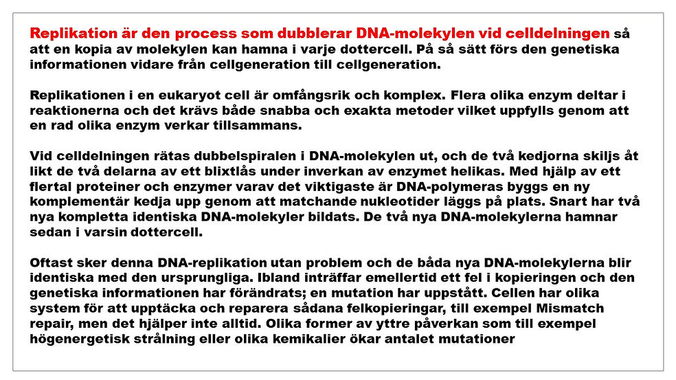 Bild38.JPG