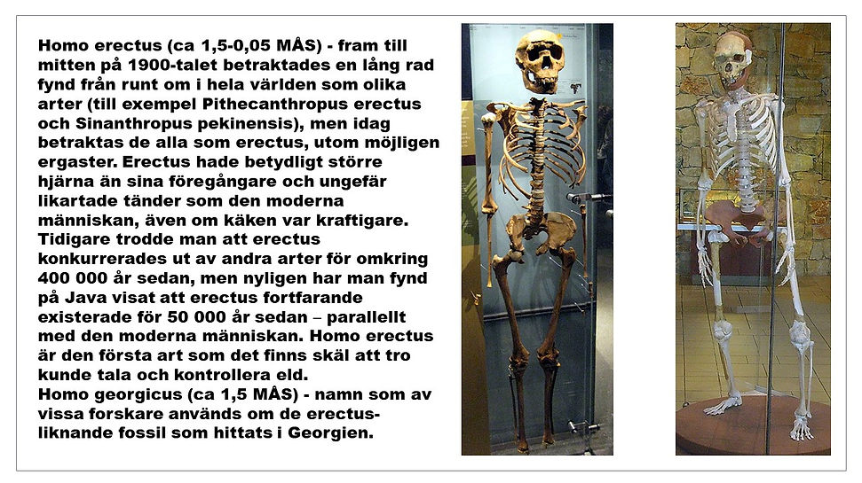 Bild50.JPG