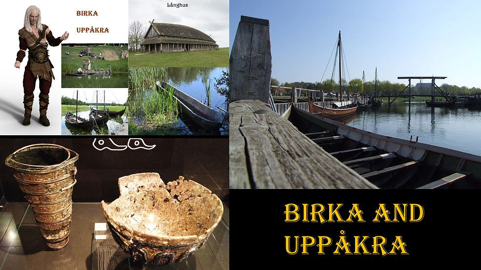 Bild4.JPG