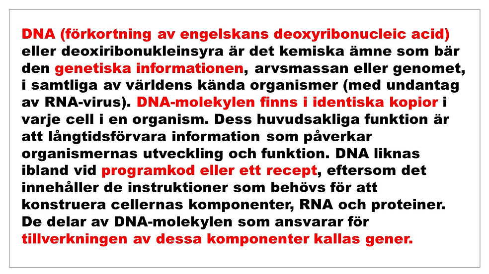 Bild4.JPG