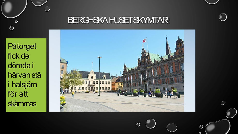 Bild19.JPG