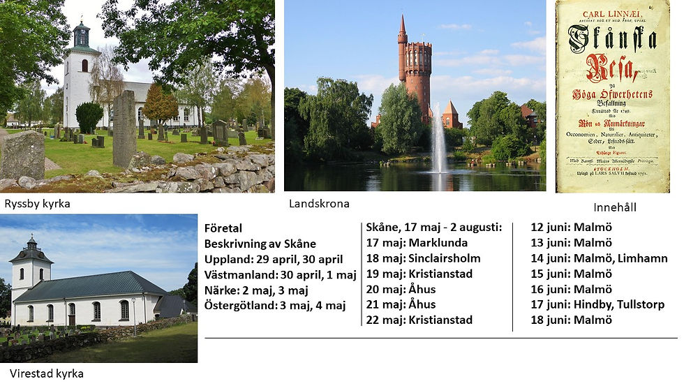 Bild4.JPG