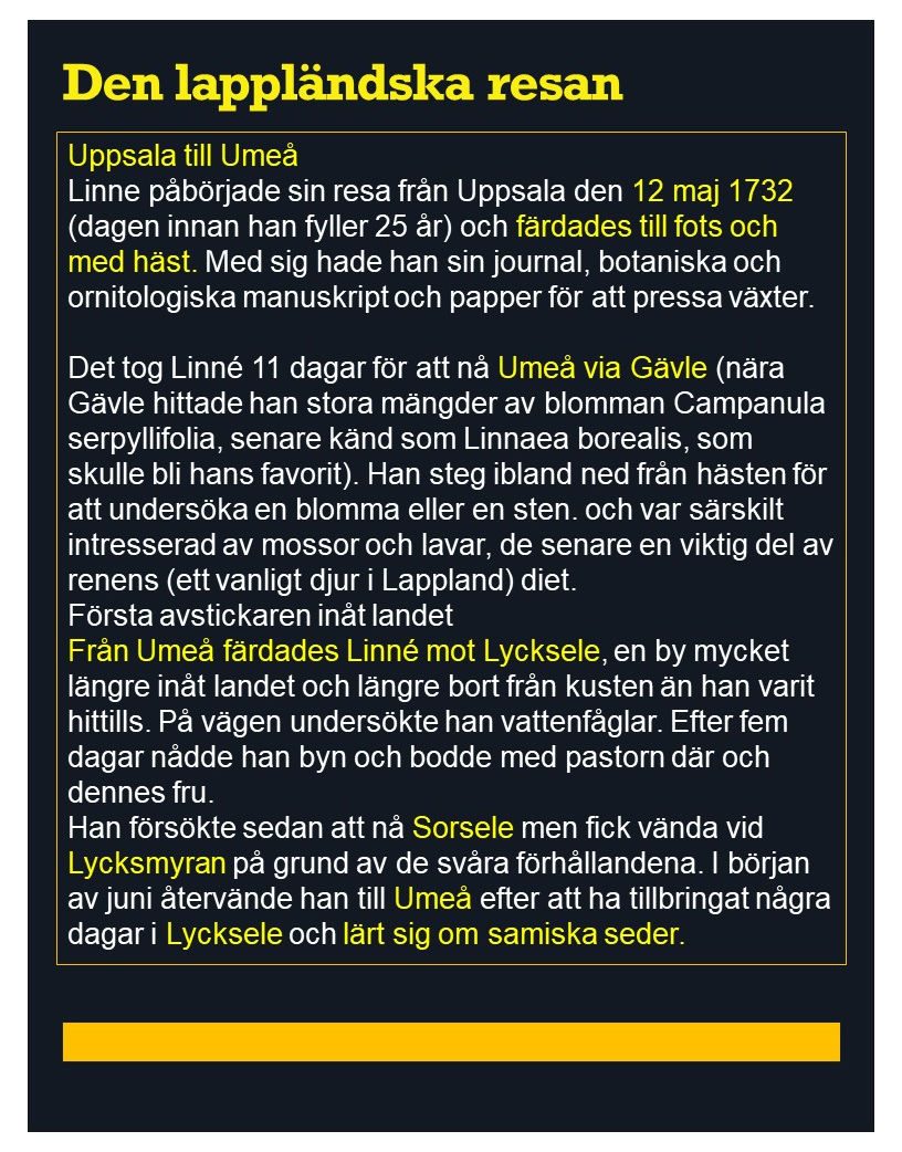 Bild3.JPG
