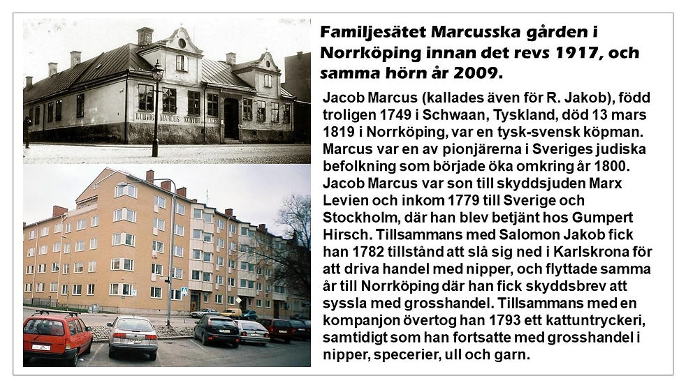 Bild5.JPG