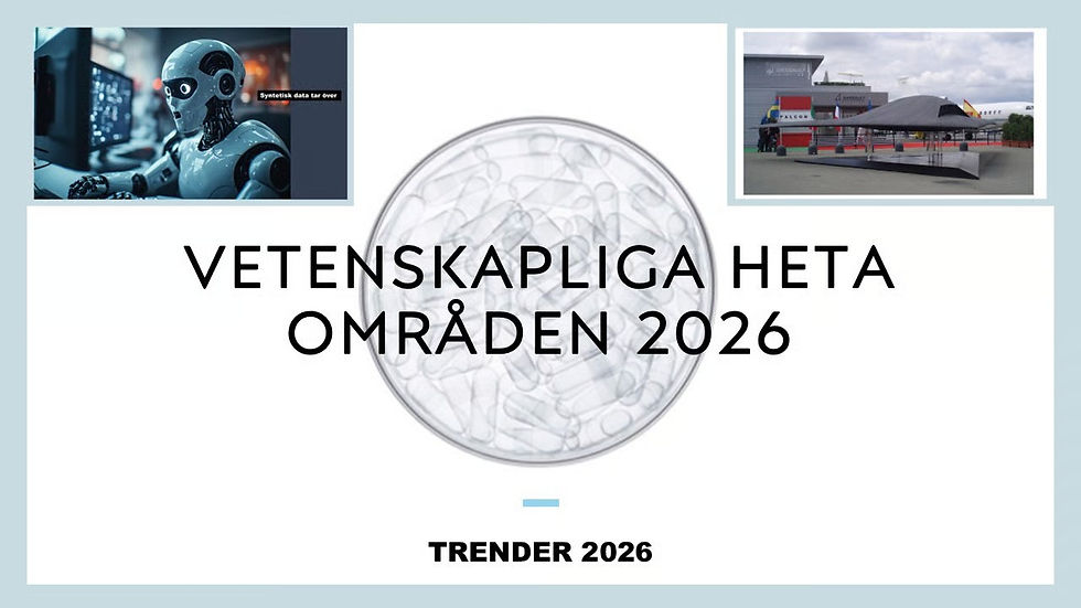 Bild131.JPG