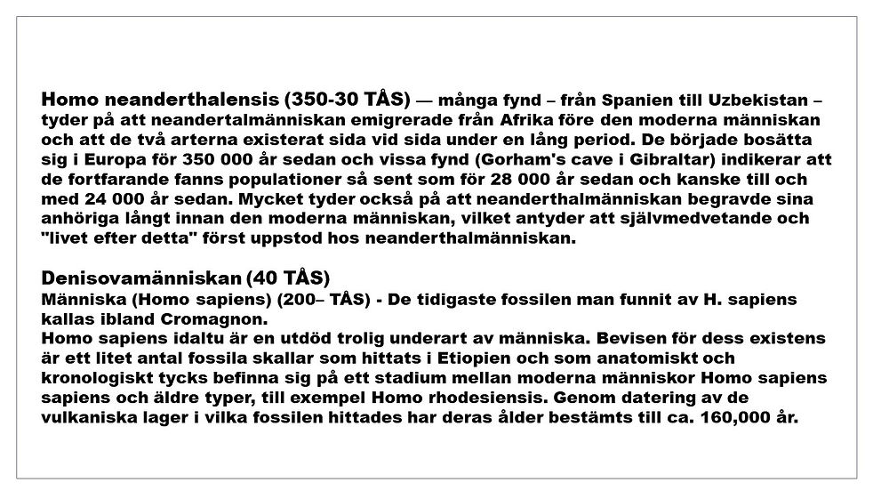 Bild53.JPG