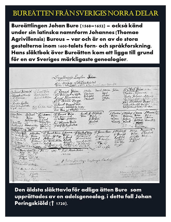 Bild3.JPG
