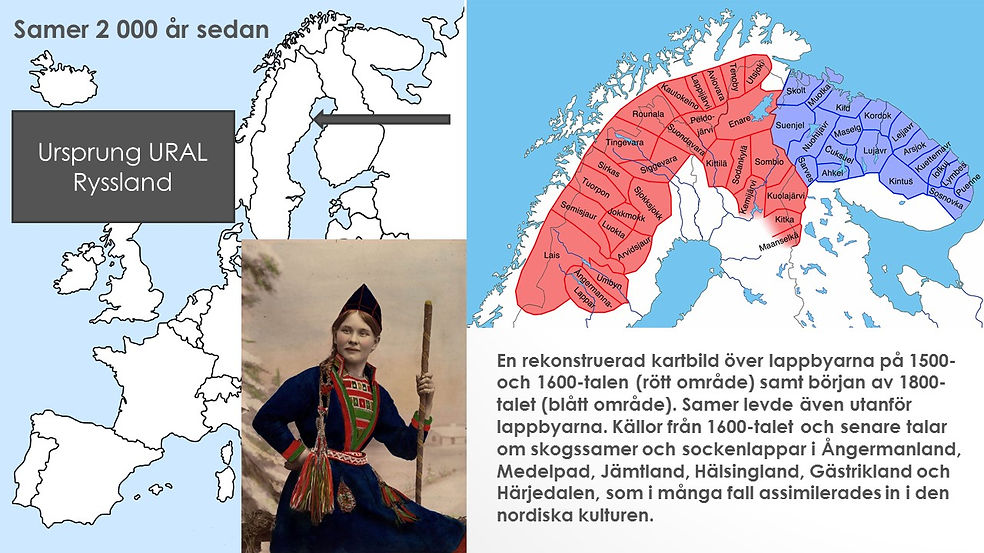 Bild8.JPG