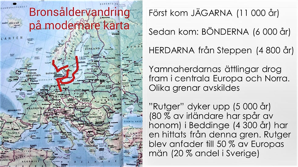 Bild7 (2).JPG