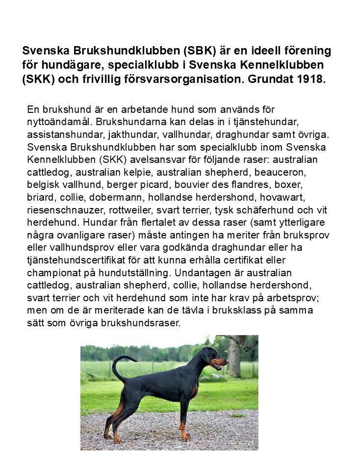 Bild14.JPG