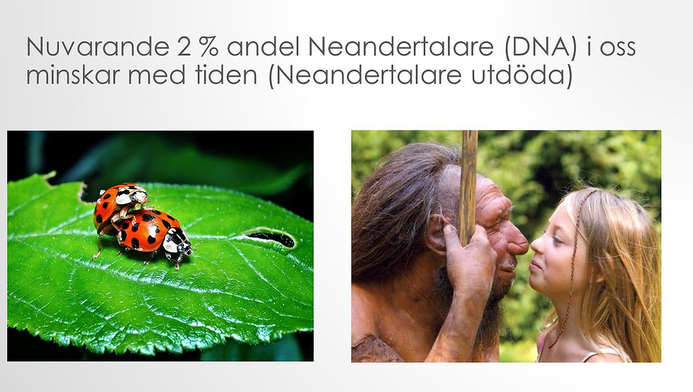 Bild3.JPG