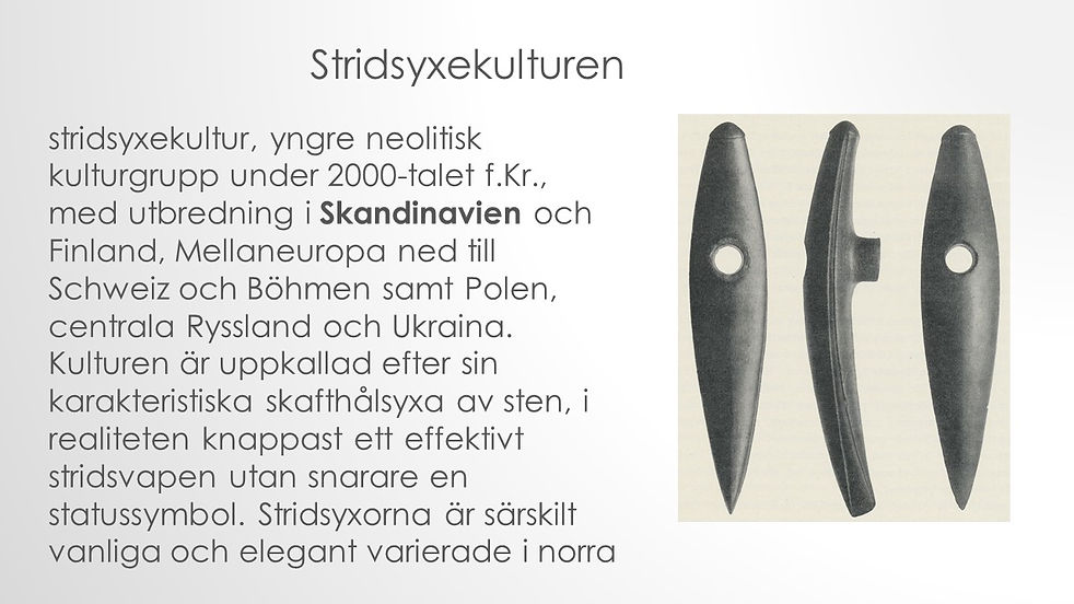 Bild12.JPG