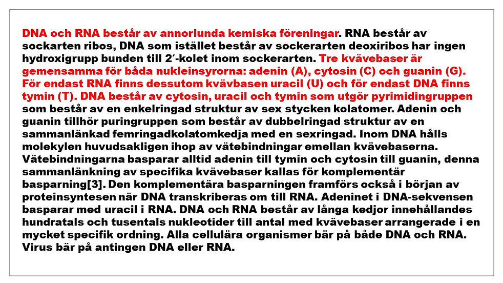 Bild31.JPG