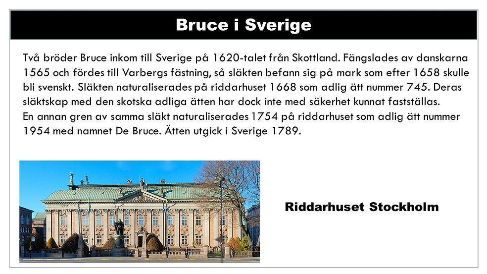 Bild8.JPG