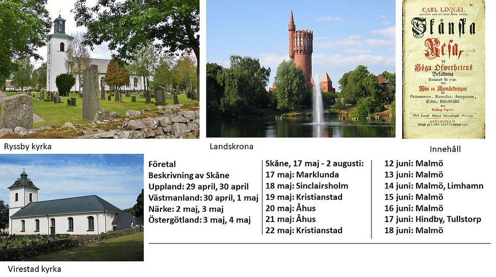 Bild4.JPG