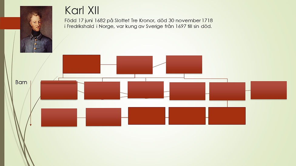 Bild63.JPG