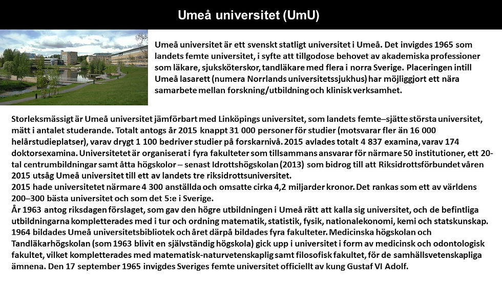 Bild6.JPG
