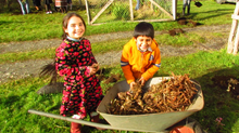 1er Reportaje Diario La Estrella de Chiloé