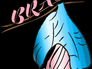 The Diary of a Trans Woman Part 4