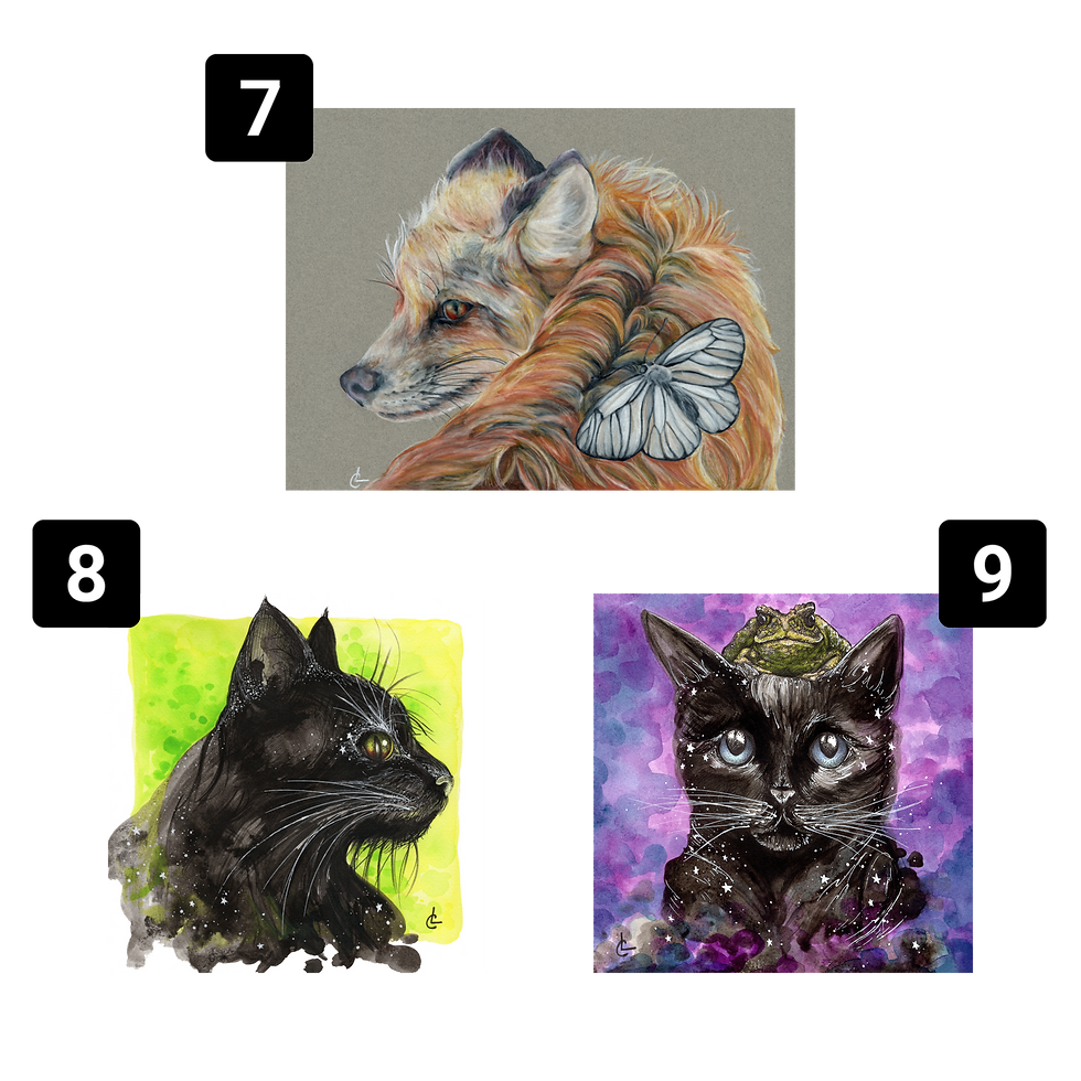 Thumbnail: STICKERS: Birds and Mammals