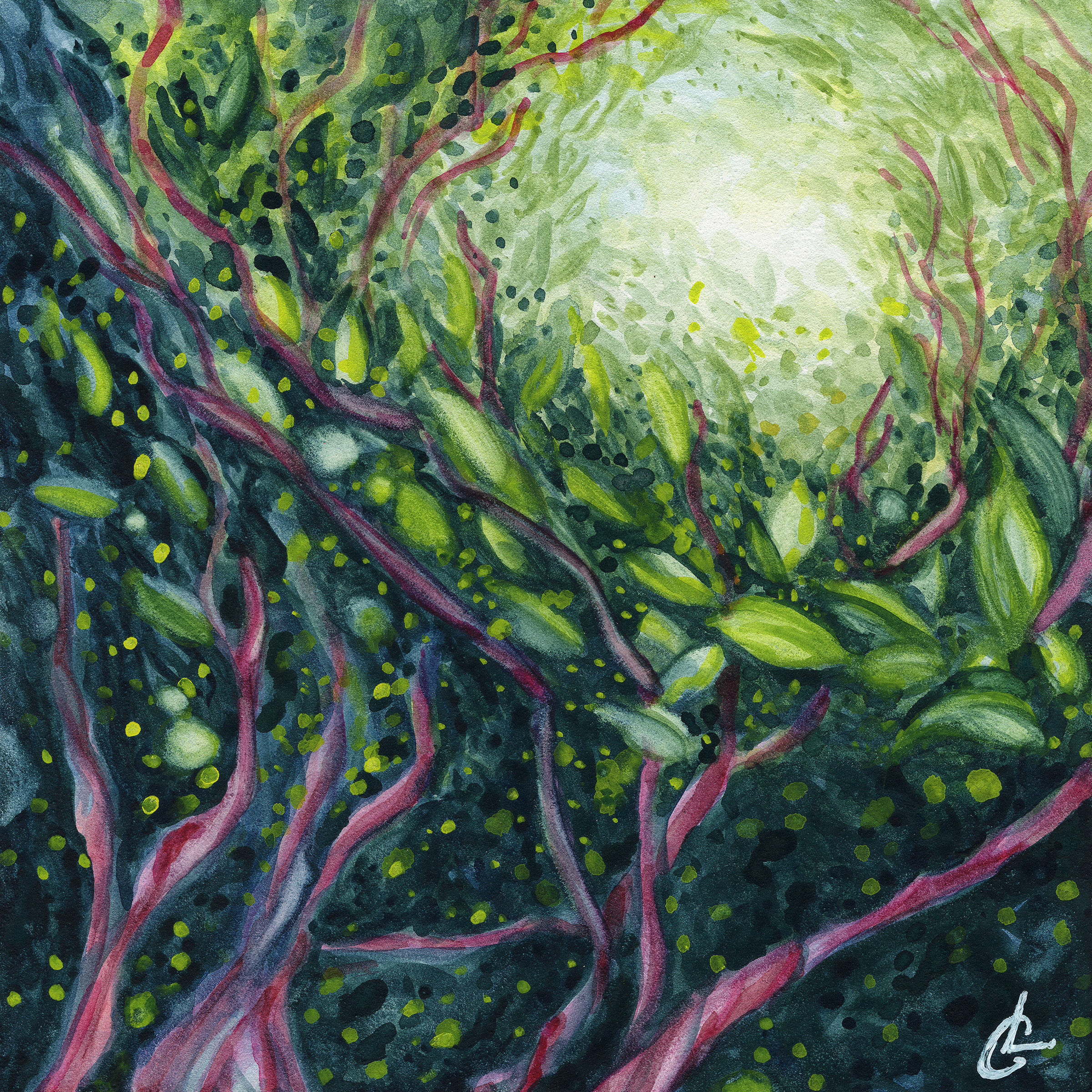 "Glitter Through the Trees"