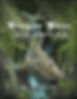 Front Cover of the DBJ 2025 JPG.jpg
