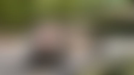 Affentheater in BALI: Ubuds Affenwald 'Sacred Monkey Forest'