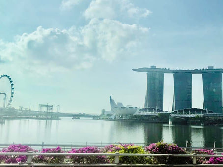 Marina Bay Sands Hotel Singapur - das berühmteste Hotel der Welt?