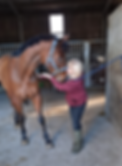 westfield-equine-reiki.png