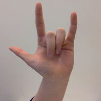 Photo on 3-6-19 at 4.43 PM.jpg
