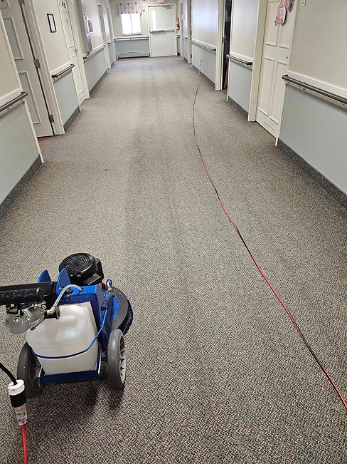 carpet scrubbing.jpg