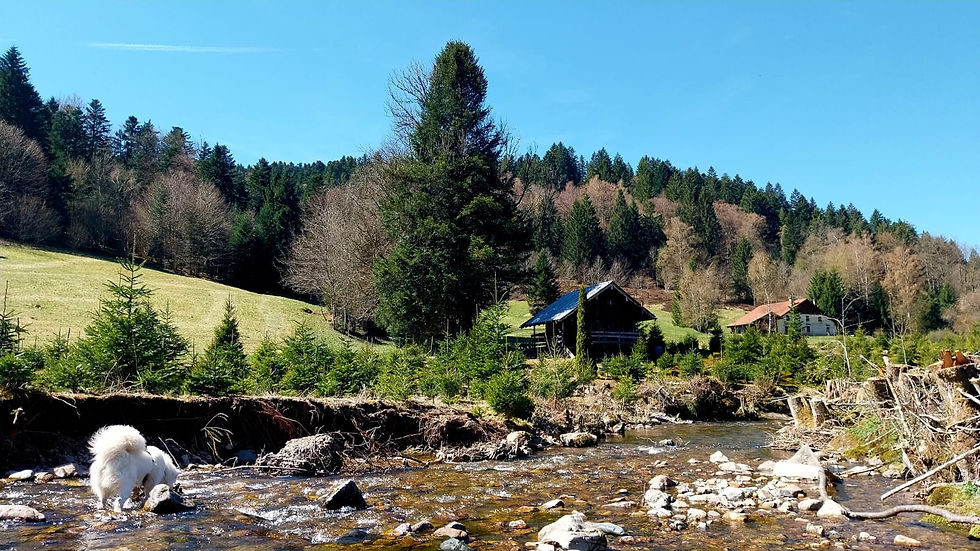 gîte vue.jpeg