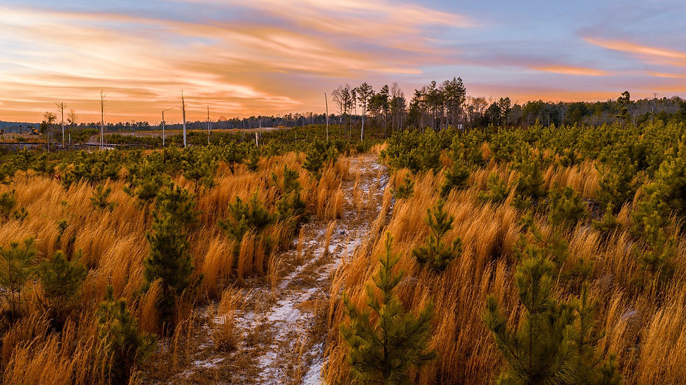 A new wellness-focused golf retreat is coming to South Carolina