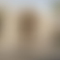 Rosewood blue palace hotels of tmw