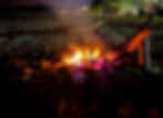 December Bonfire4.jpg
