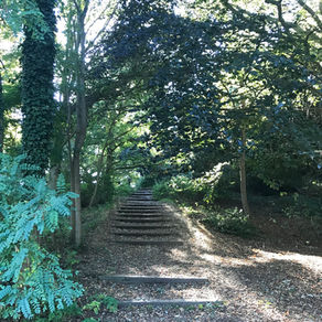 TAKE A WALK WITH ME THROUGH: LANGDON HILLS COUNTRY PARK